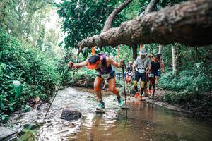 BIB: 
                            <button type="button" onclick="openModal(25369300)" class="btn btn-primary btn-sm float-right btn-popup" data-toggle="modal" data-target=".modal-high-quality">
                        <i class="fas fa-shopping-cart"></i> Add to Cart
                    </button>
                                            <button type="button" onclick="isThisMe(25369300, true)" class="btn btn-success btn-sm float-right btn-popup btn-isme hidden" data-toggle="tooltip" data-placement="bottom" title="นี่คือรูปของคุณใช่ไหม คลิกที่นี่เพื่อเอาเข้าอัลบั้ม">
                        <i class="fas fa-plus"></i> Add to album
                    </button>
                    <button type="button" onclick="isThisMe(25369300, false)" class="btn btn-warning btn-sm float-right btn-popup btn-isnotme hidden">
                        <i class="fas fa-ban"></i> Remove from album
                    </button>